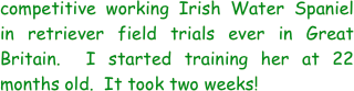 competitive working Irish Water Spaniel