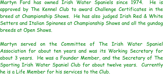 Martyn Ford has owned Irish