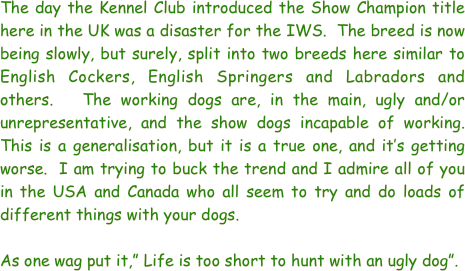 The day the Kennel Club