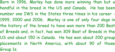 Born in 1996, Marley has